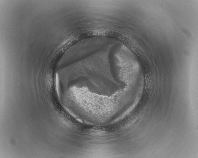 X0000115040648200911161528