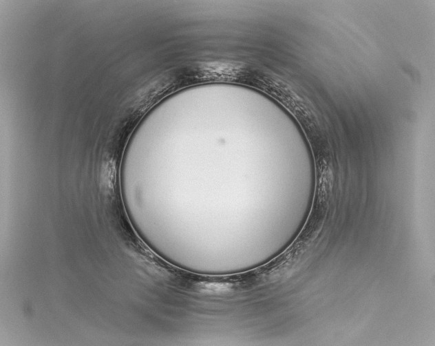 X0000115040649200911161528