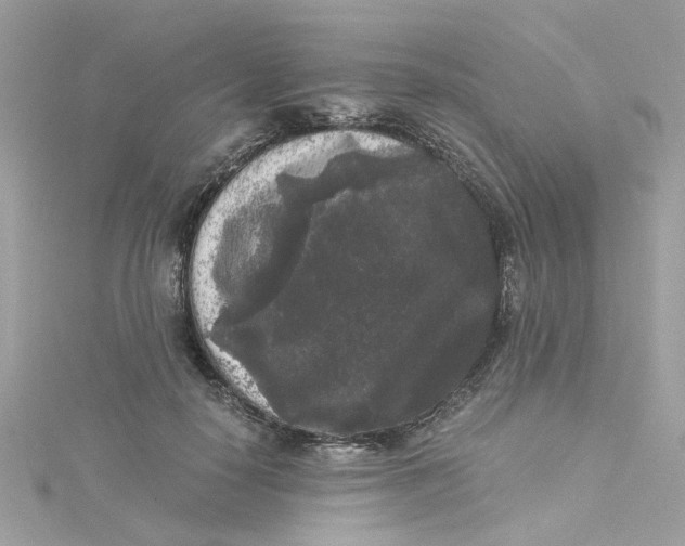 X0000115040650200911161528