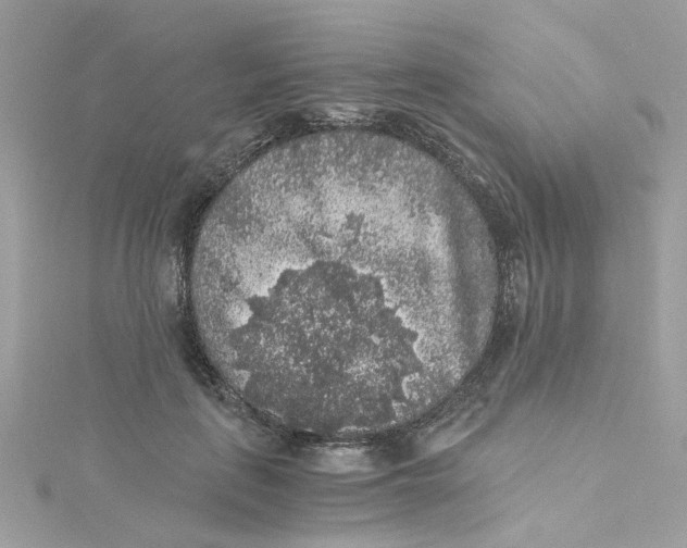 X0000115040651200911161528