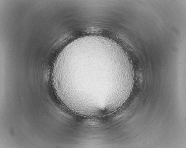 X0000115040652200911161528