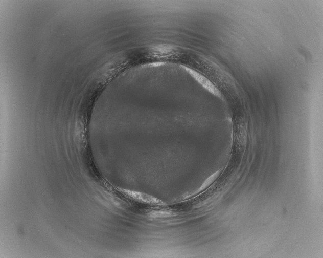 X0000115040653200911161528