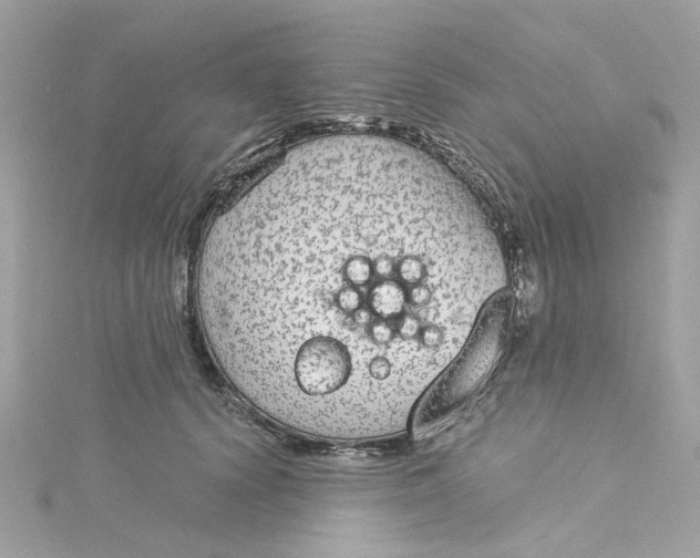 X0000115040656200911161528