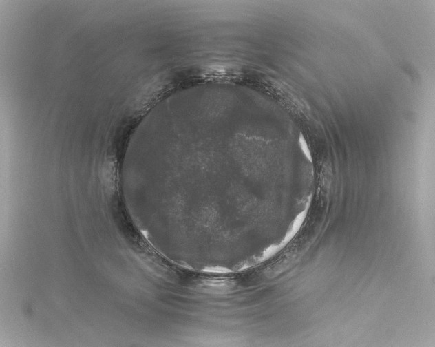 X0000115040659200911161528