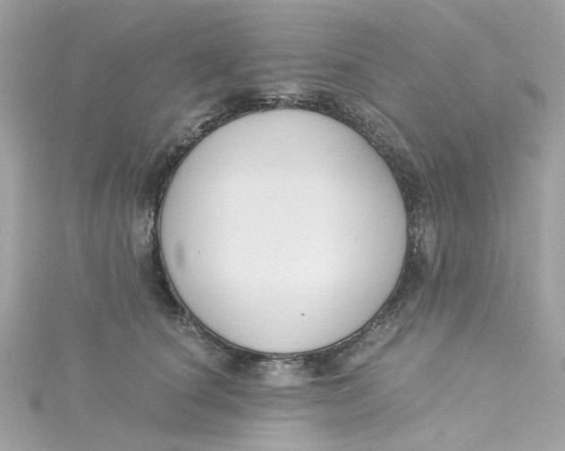 X0000115040660200911161528