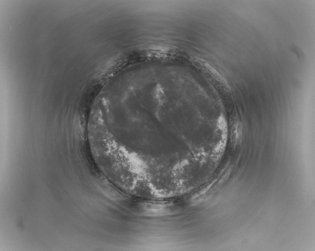 X0000115040661200911161528