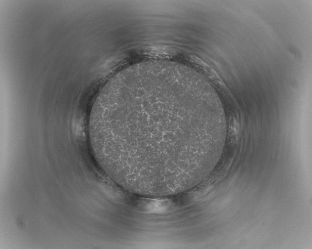 X0000115040663200911161528