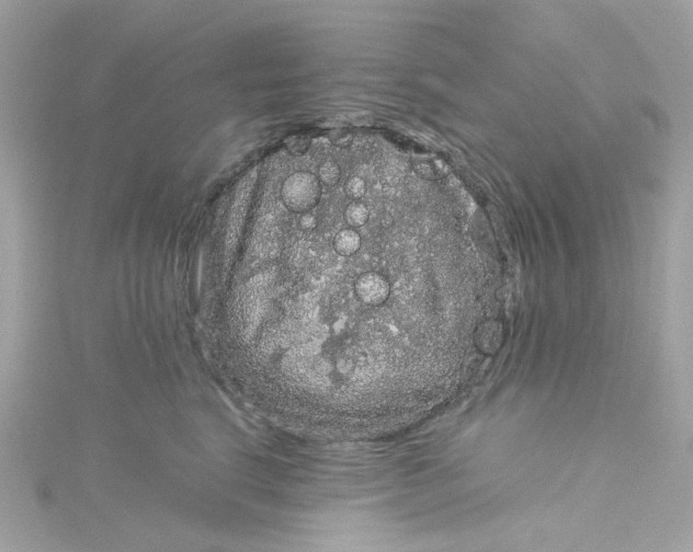 X0000115040664200911161528