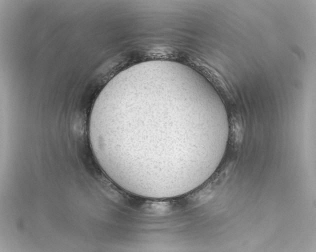 X0000115040665200911161528