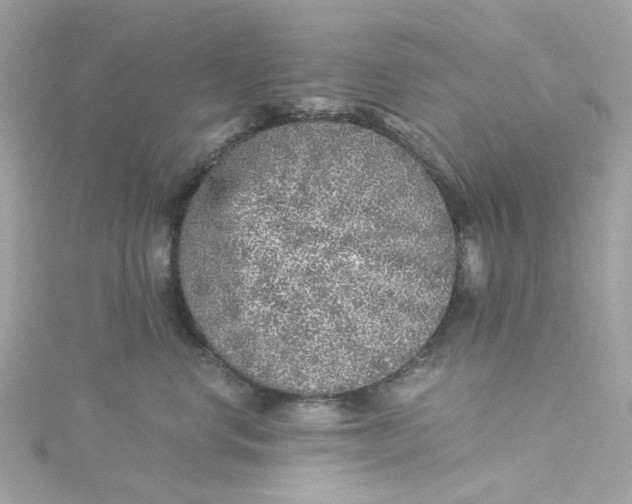 X0000115040668200911161528