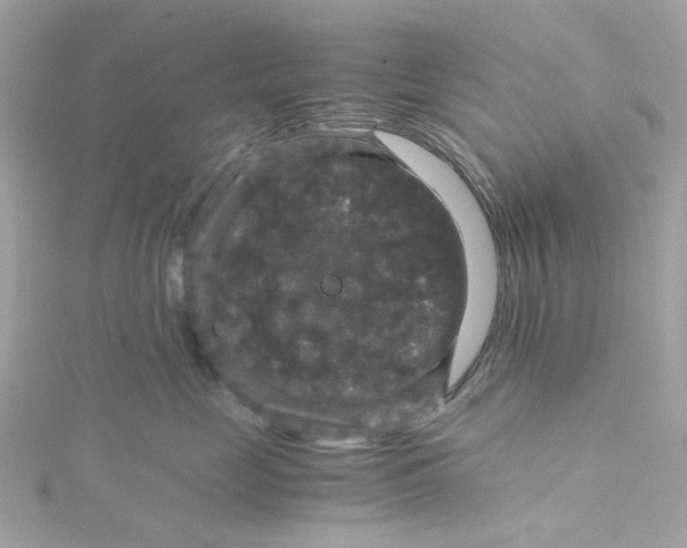 X0000115040669200911161528