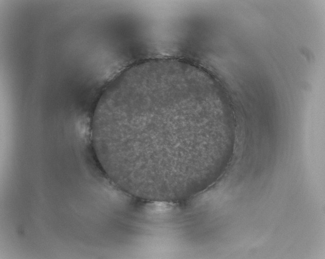 X0000115040672200911161528