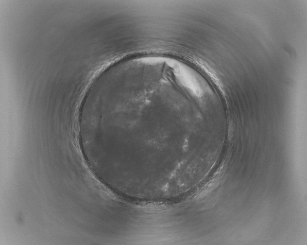 X0000115040673200911161528