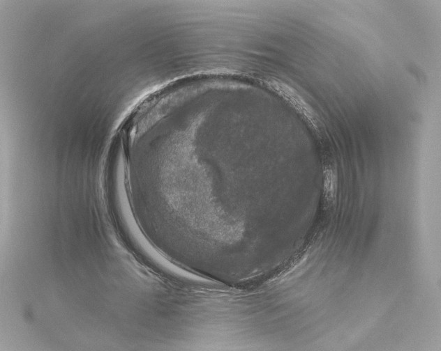 X0000115040676200911161527