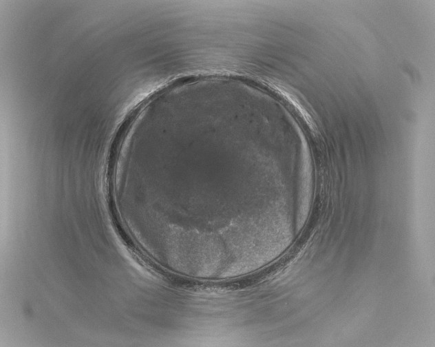 X0000115040677200911161527