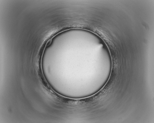 X0000115040679200911161527