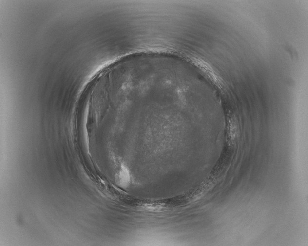 X0000115040680200911161527