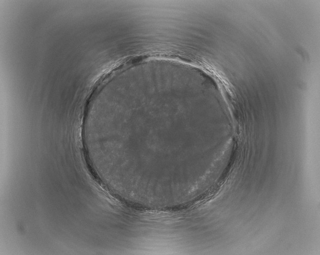 X0000115040681200911161527