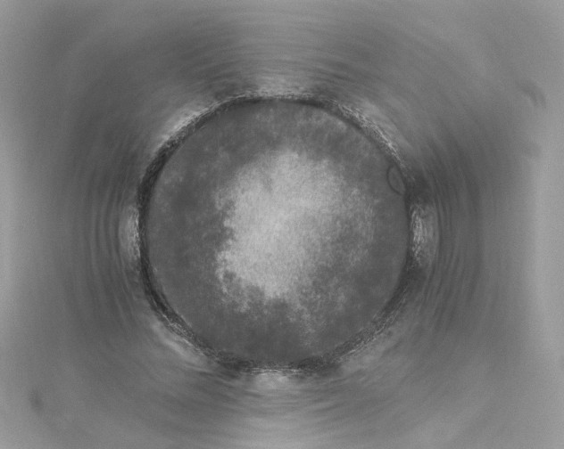 X0000115040684200911161527