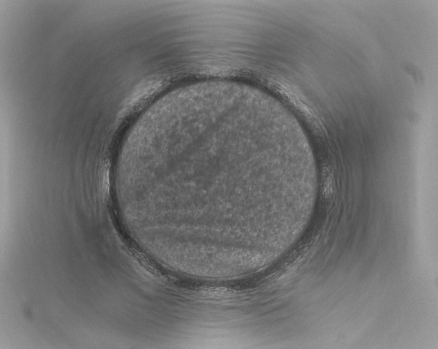 X0000115040685200911161527