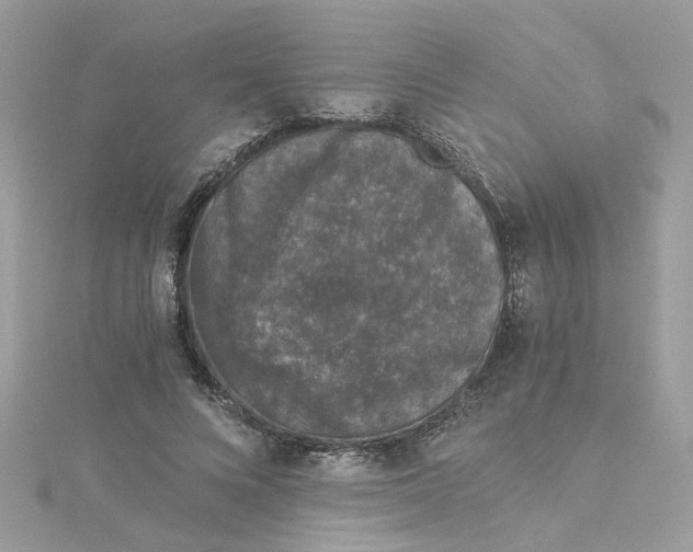 X0000115040688200911161527