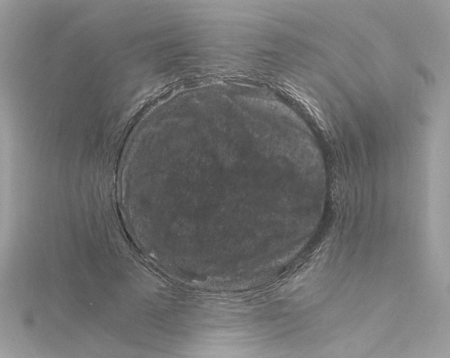 X0000115040689200911161527