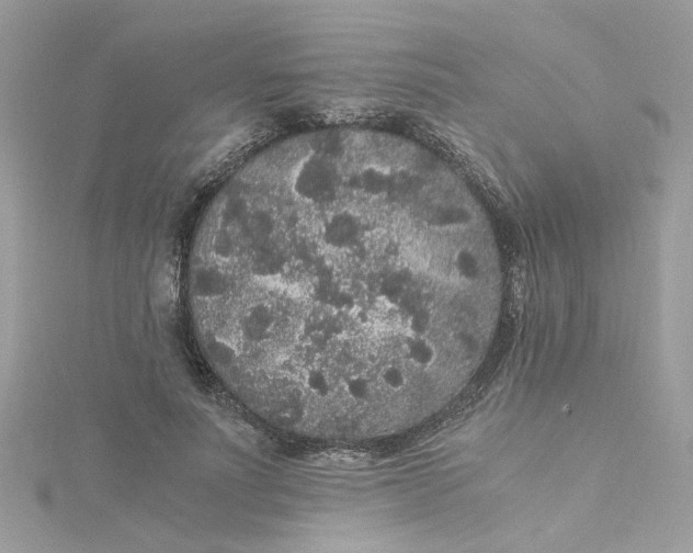 X0000115040691200911161527