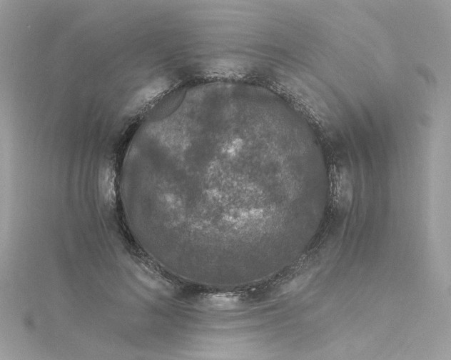 X0000115040692200911161527