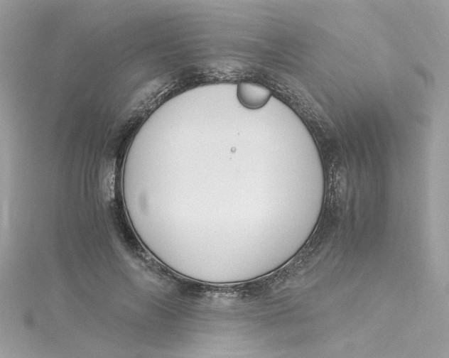 X0000115040694200911161527