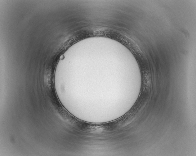 X0000115040698200911161527