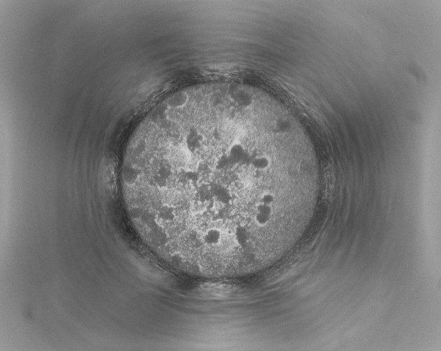 X0000115040699200911161527