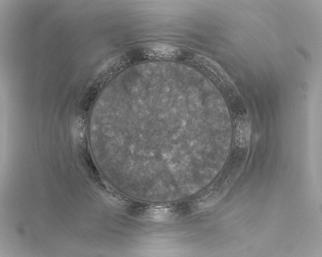 X0000115040701200911161527