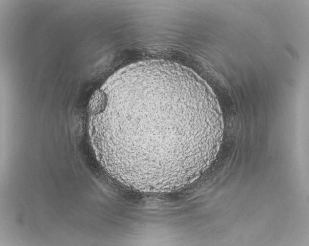 X0000115040703200911161527