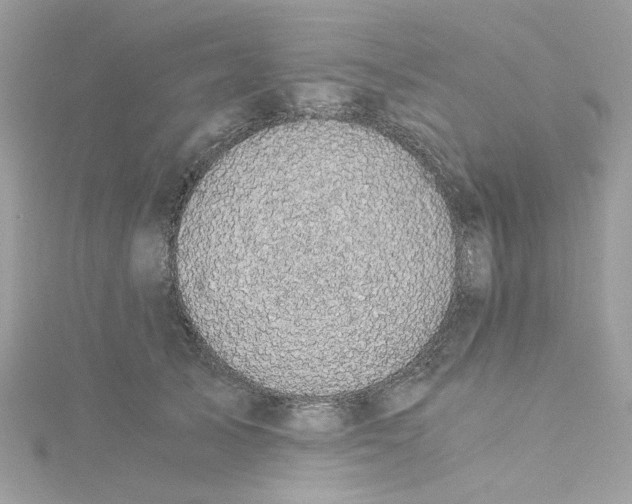 X0000115040705200911161527