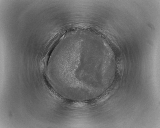 X0000115040708200911161527