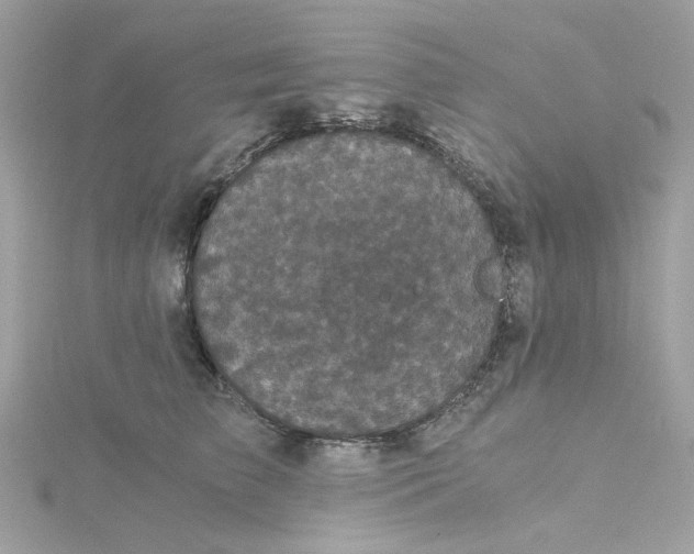 X0000115040709200911161527