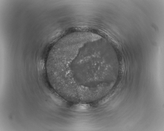 X0000115040711200911161527