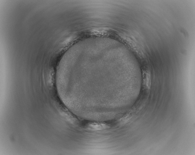 X0000115040712200911161527