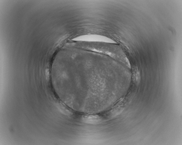 X0000115040716200911161527