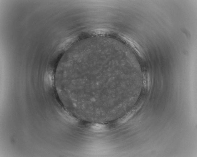 X0000115040718200911161527