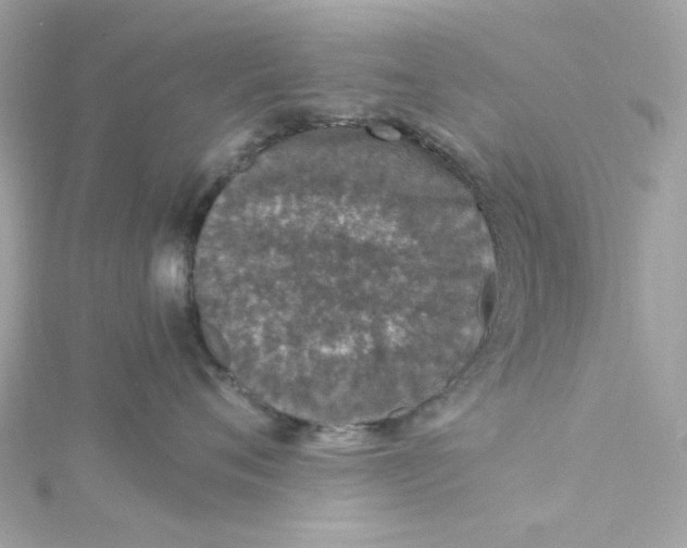 X0000115040720200911161527