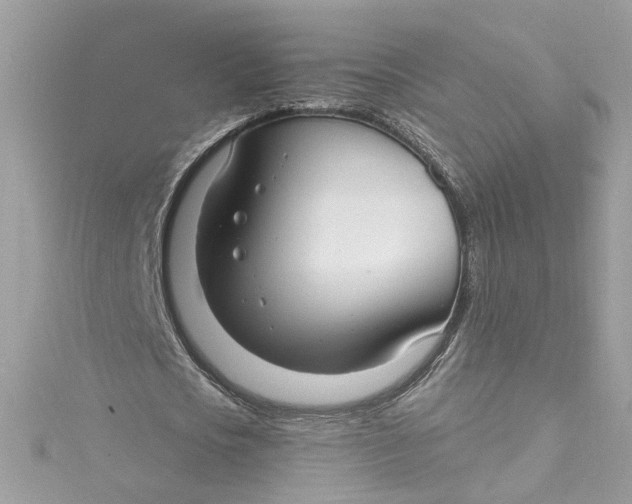 X0000115040721200911161526