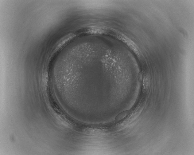 X0000115040722200911161526