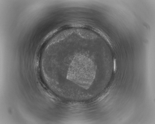 X0000115040723200911161526