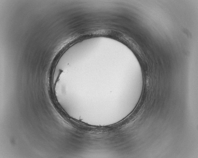 X0000115040725200911161526