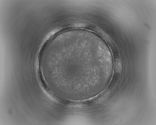 X0000115040726200911161526