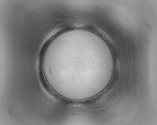 X0000115040730200911161526