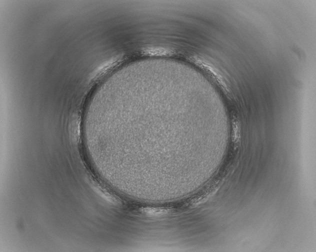 X0000115040733200911161526