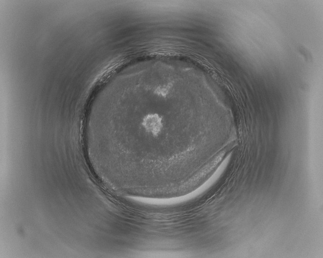 X0000115040735200911161526