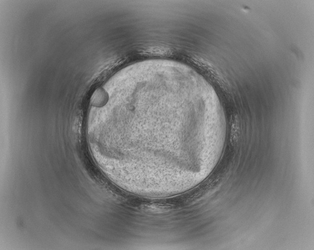 X0000115040739200911161527